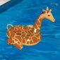 Giant Giraffe Float