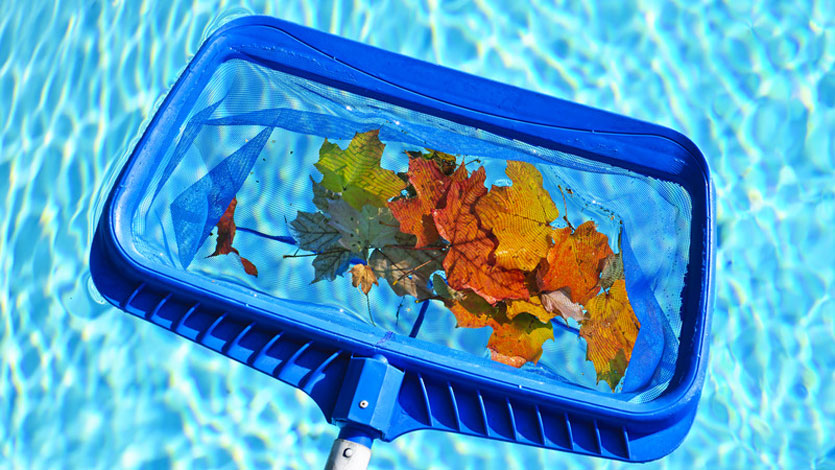 Leaf Net for Pool in Fall