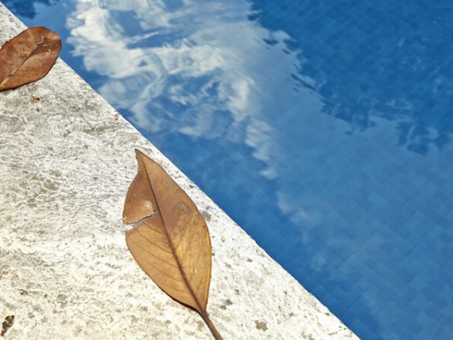 pool with leaves on edge
