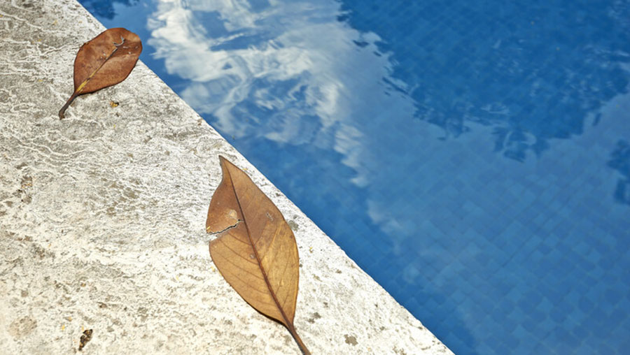 pool with leaves on edge