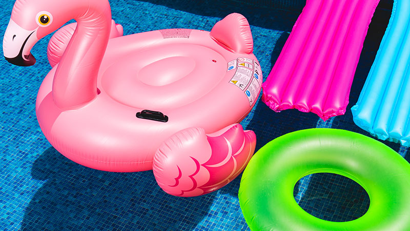 pool floats in pool pink swan